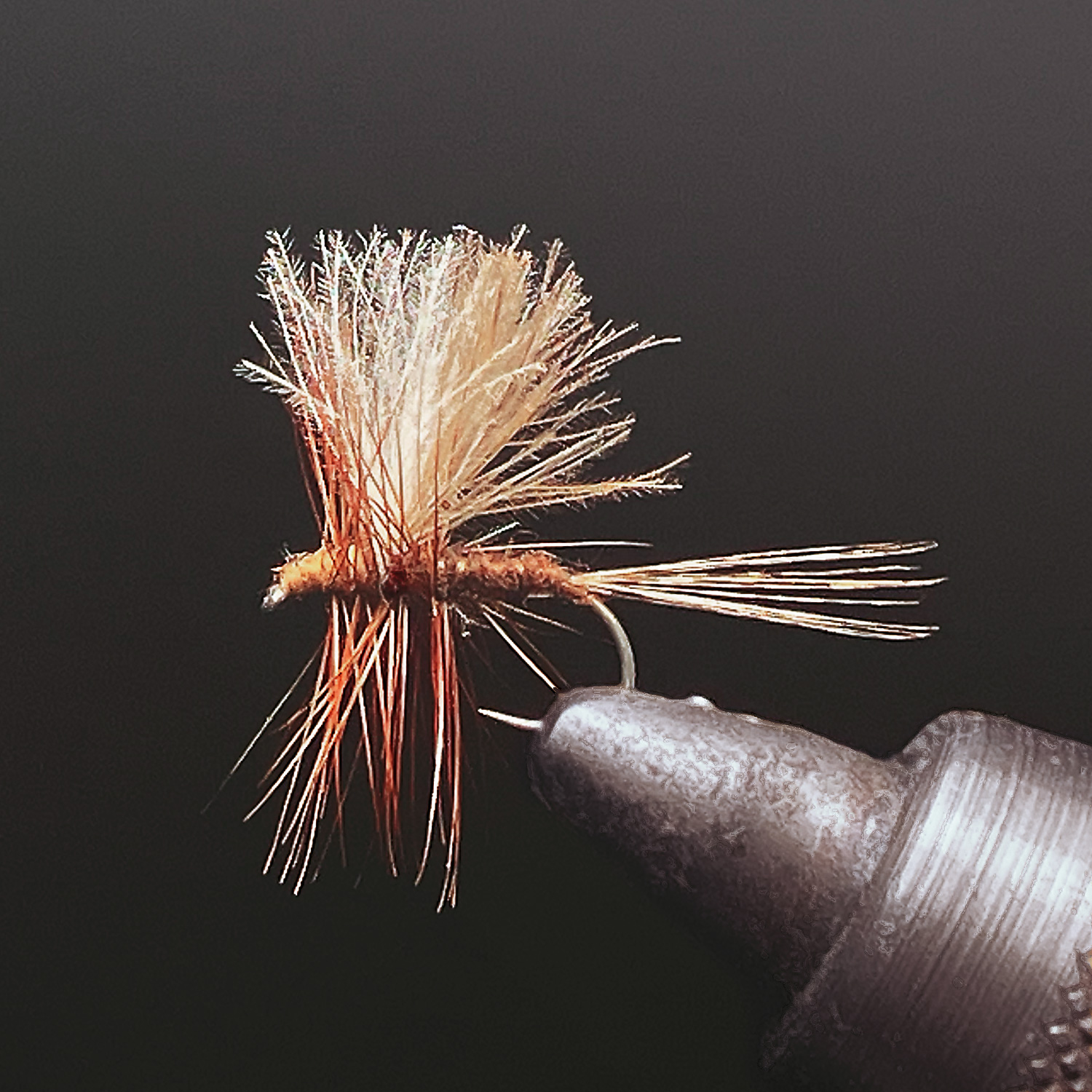 CDC Thorax Dun