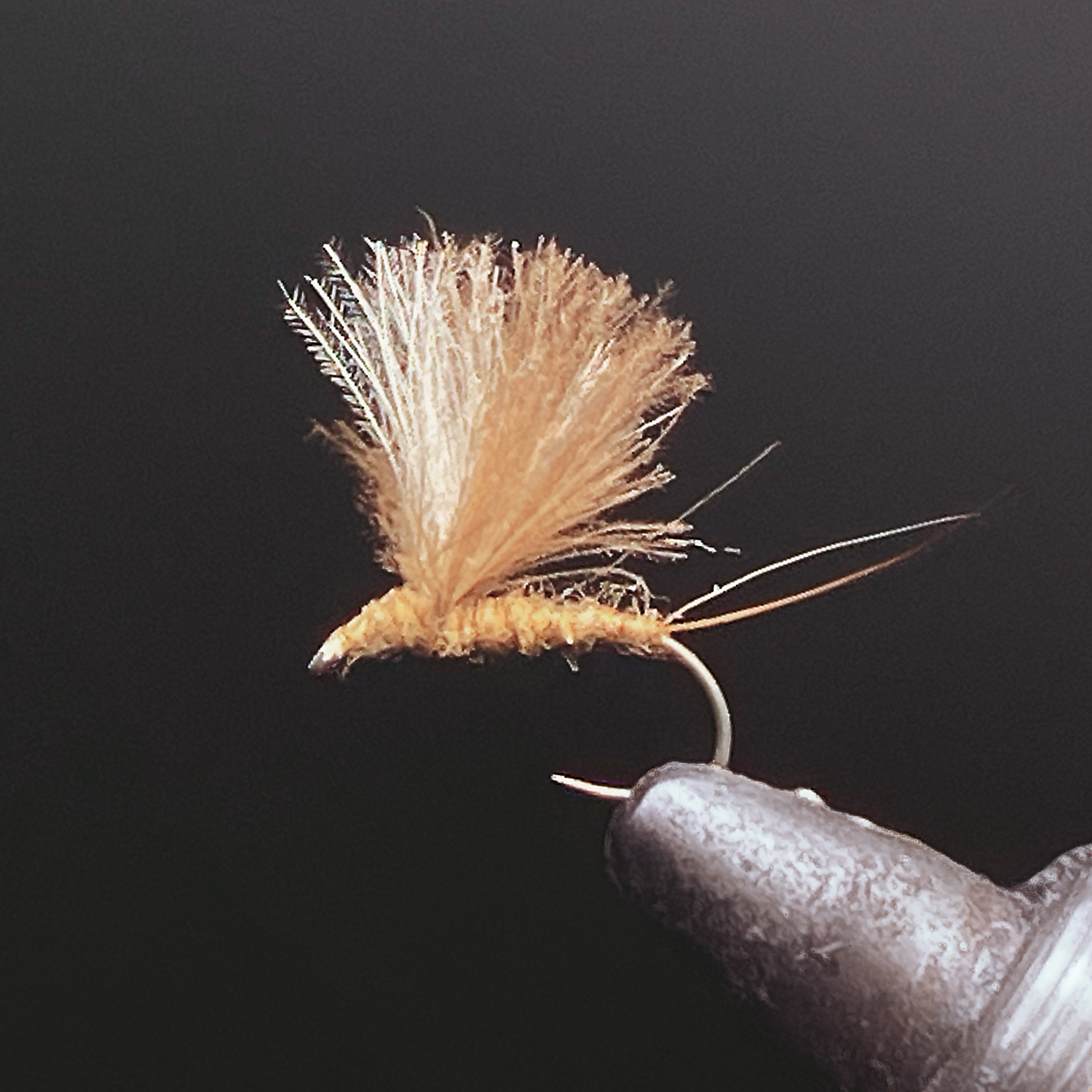 FF – CDC Dun – Natural